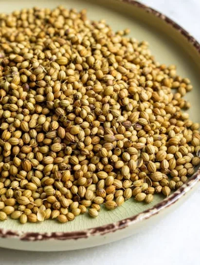 Bowl of whole coriander seeds